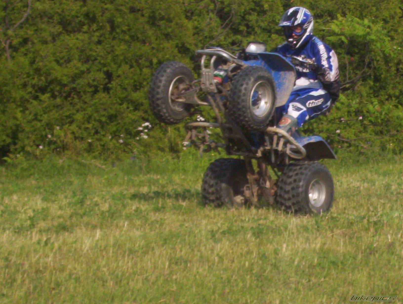 1991 YAMAHA BLASTER | Picture 174206 motorcycle photo