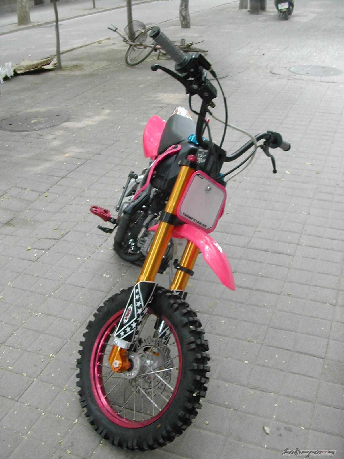    | Picture 1742528 motorcycle photo