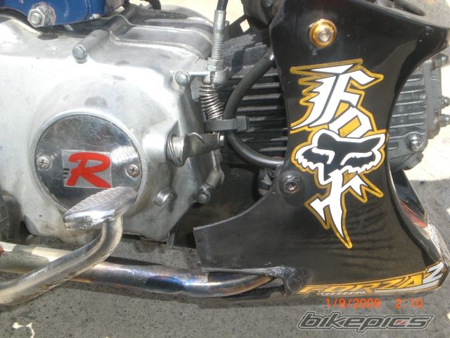 2009 HONDA C 90 | Picture 1742989 motorcycle photo