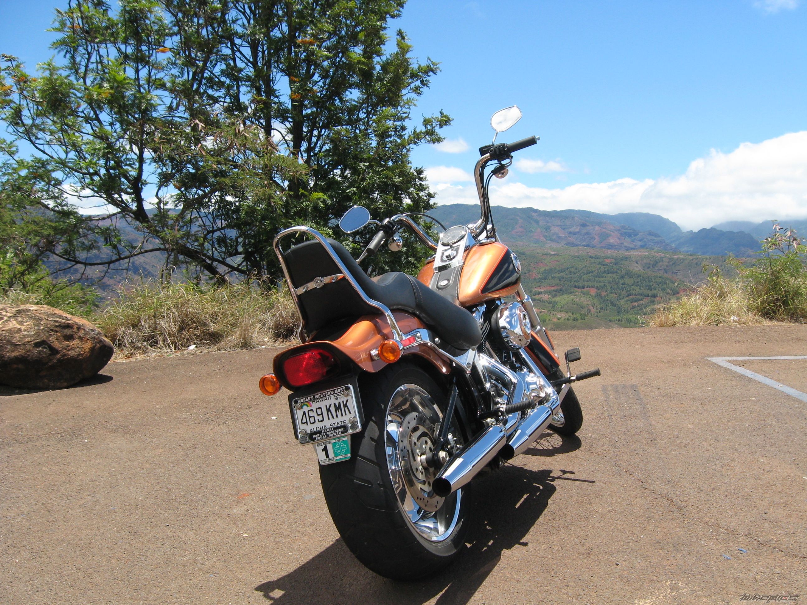 2008 HARLEY DAVIDSON FXSTC | Picture 1743005 motorcycle photo