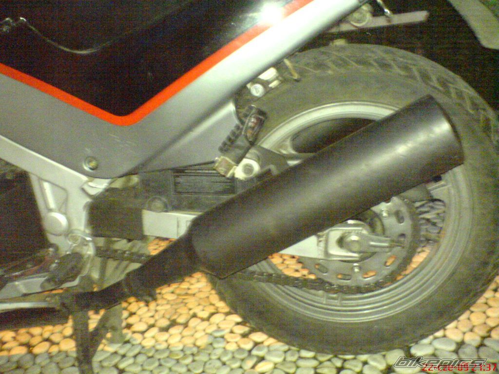1994 KAWASAKI GPZ 500 | Picture 1743595 motorcycle photo