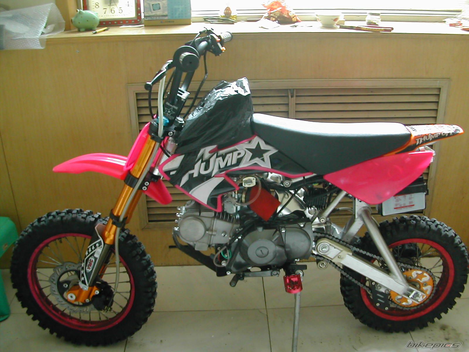 2009 THUMPSTAR PIT PRO 120CC | Picture 1743877 motorcycle photo