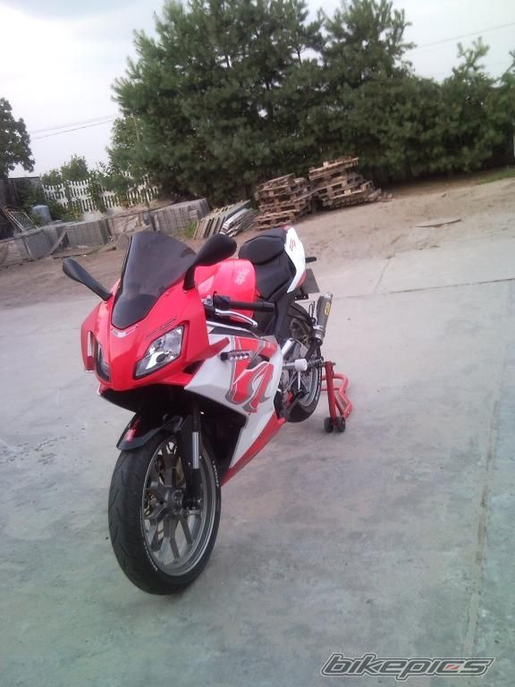 2008 APRILIA RS 125 | Picture 1744181 motorcycle photo