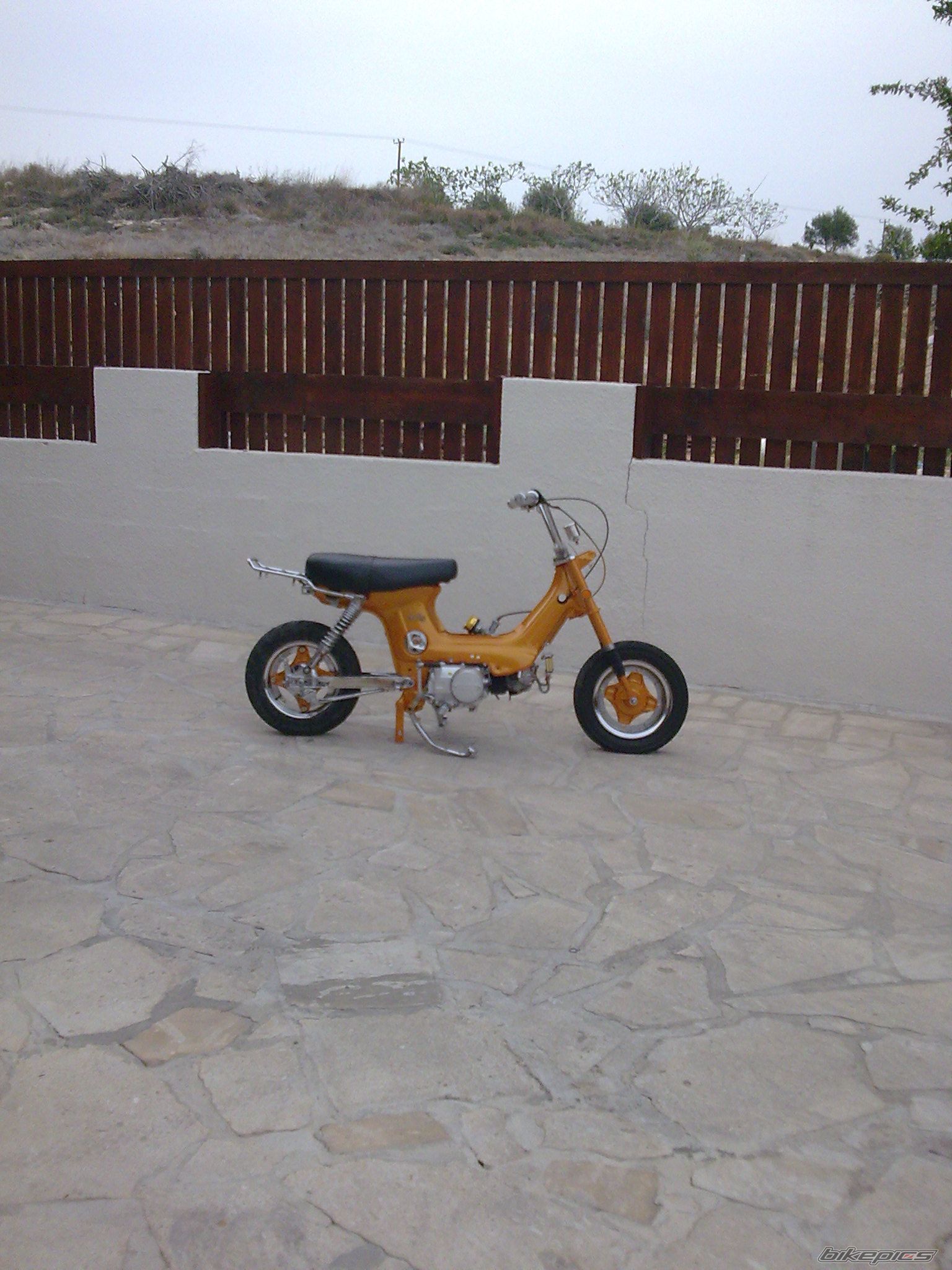 2010 HONDA CHALY | Picture 1745069 motorcycle photo