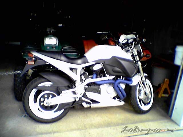 2002 BUELL X1 | Picture 174556 motorcycle photo