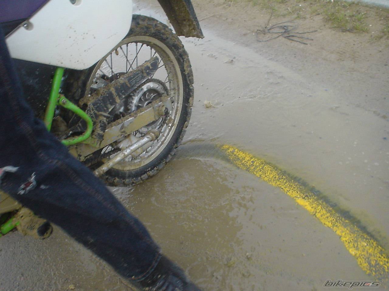 2004 KAWASAKI KMX 125 | Picture 174559 motorcycle photo