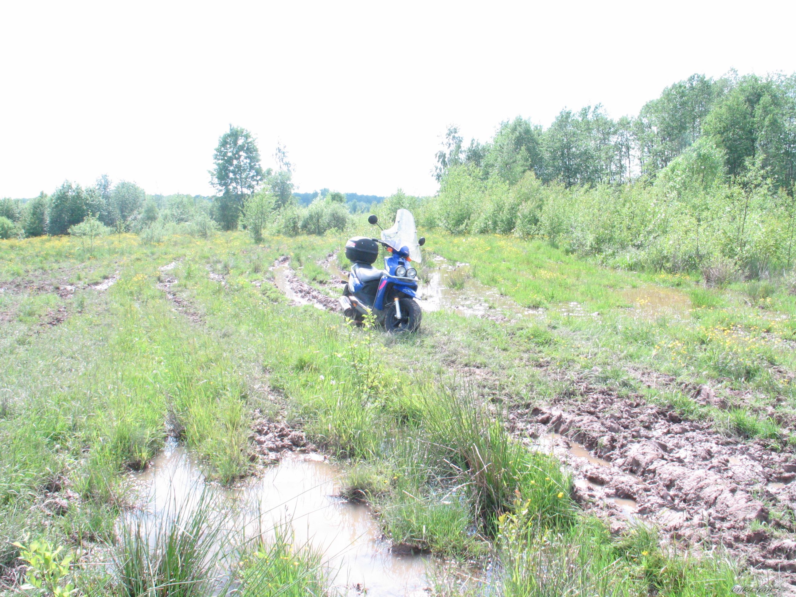 2004 YAMAHA BWS 100 | Picture 1745750 motorcycle photo
