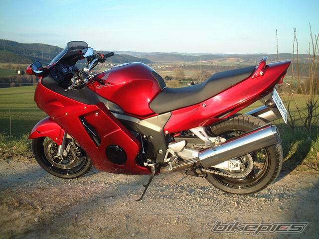 1998 HONDA CBR 1100 BLACKBIRD | Picture 174590 motorcycle photo