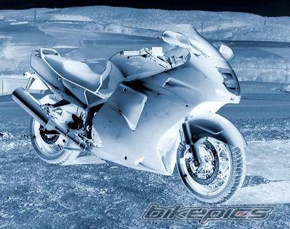 1998 HONDA CBR 1100 BLACKBIRD | Picture 174591 motorcycle photo