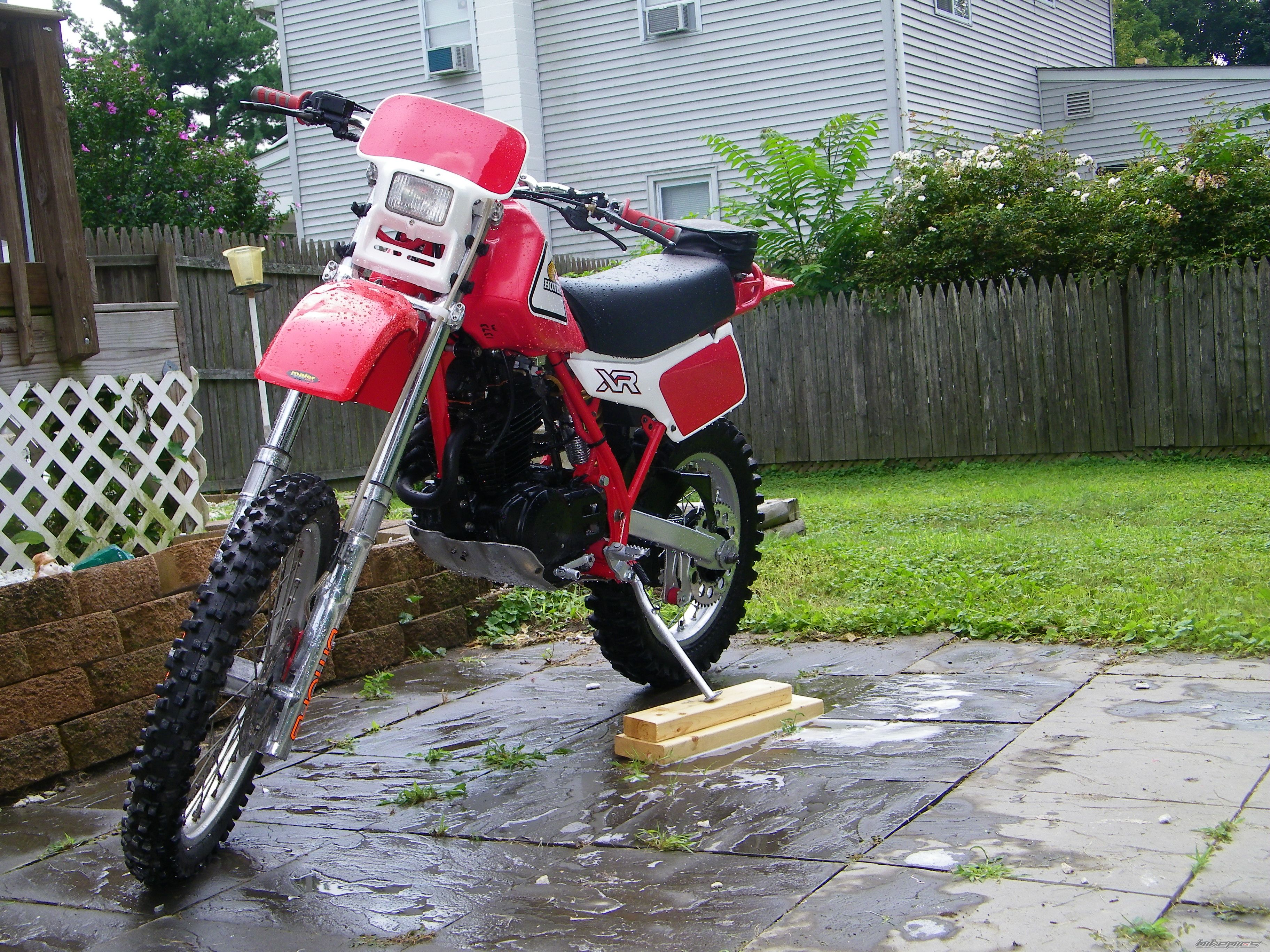1981 HONDA XR 500 | Picture 1746406 motorcycle photo
