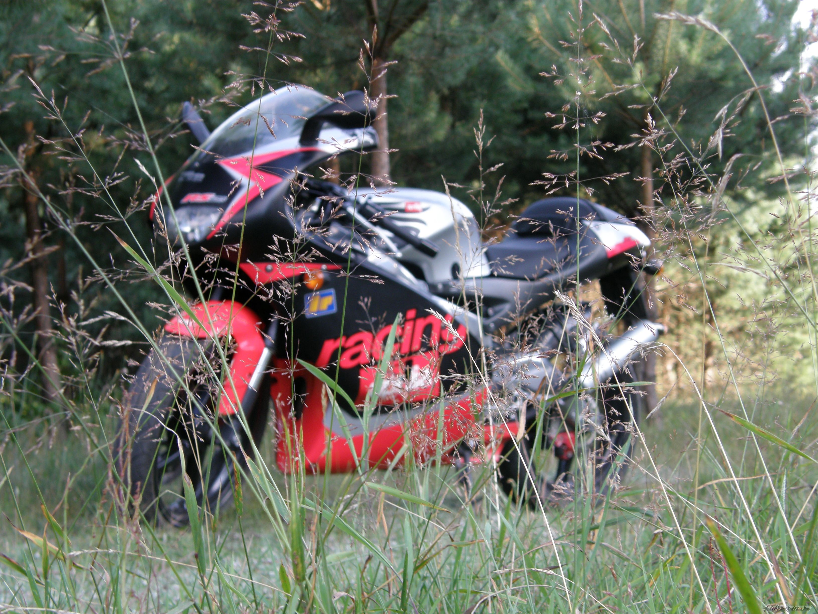 2002 APRILIA RS 125 | Picture 1746518 motorcycle photo