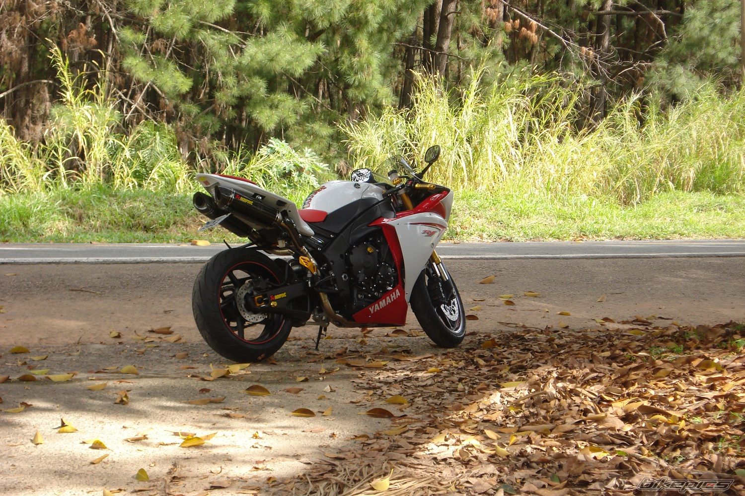 2009 YAMAHA YZF R1 | Picture 1746582 motorcycle photo