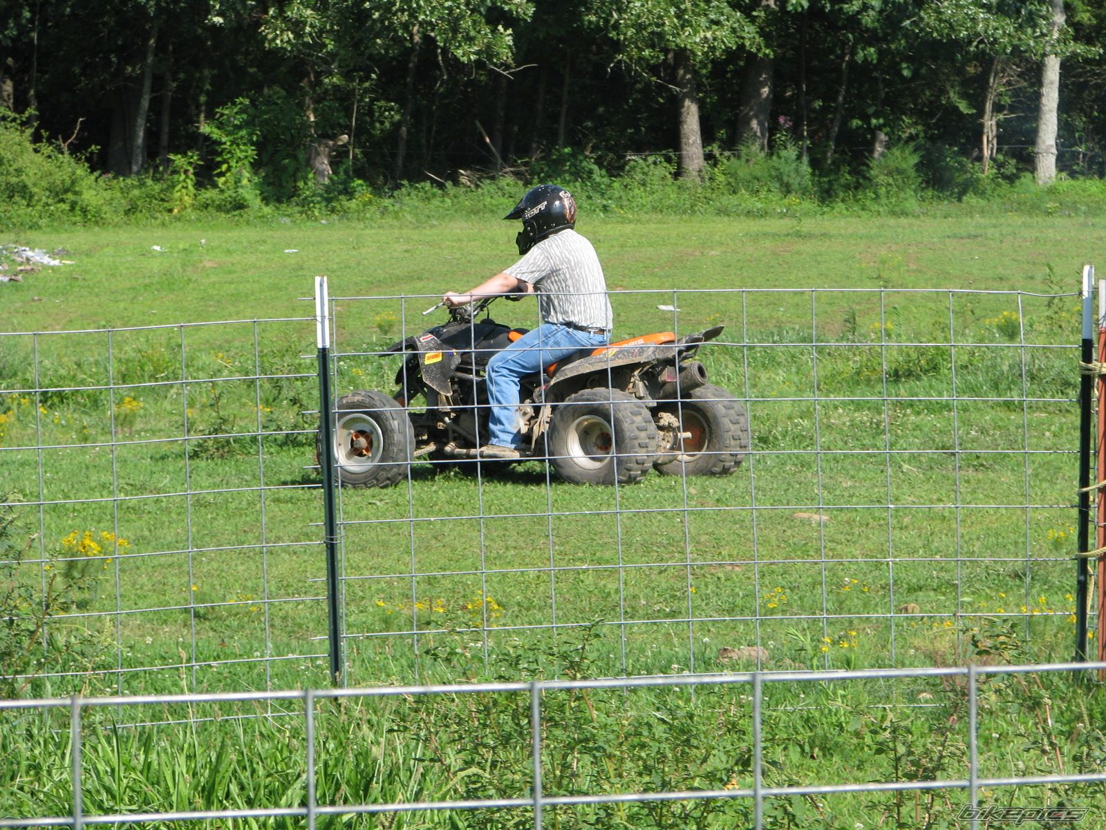 2004 POLARIS PREDATOR 500 | Picture 1747528 motorcycle photo