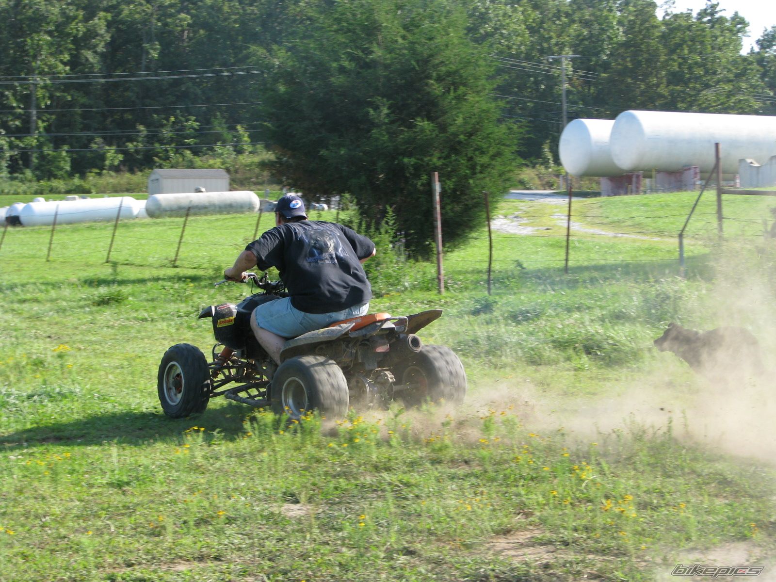 2004 POLARIS PREDATOR 500 | Picture 1747530 motorcycle photo