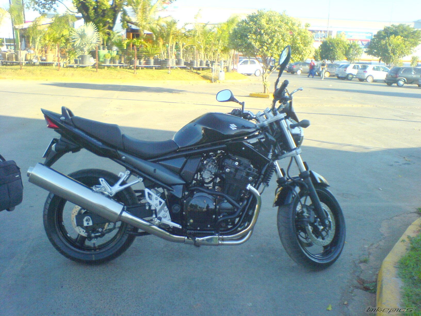 2008 SUZUKI BANDIT 650 | Picture 1747847 motorcycle photo