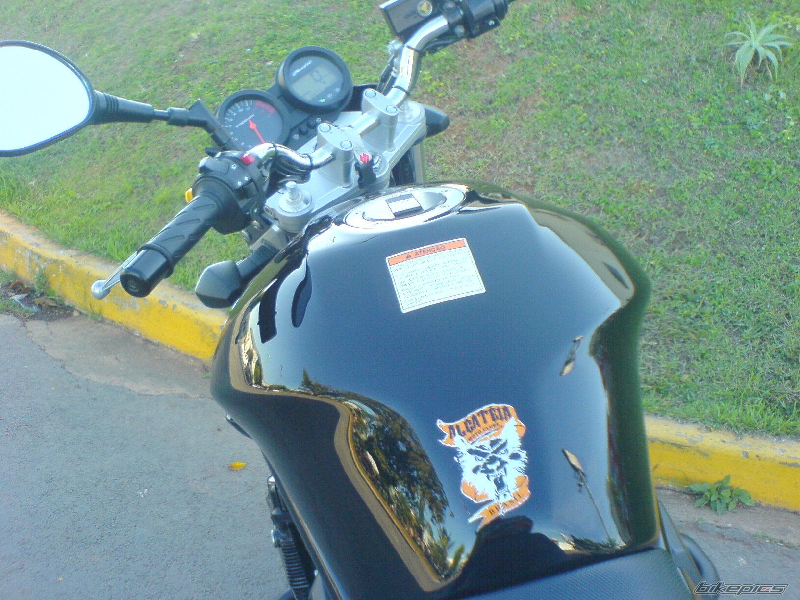 2008 SUZUKI BANDIT 650 | Picture 1747849 motorcycle photo