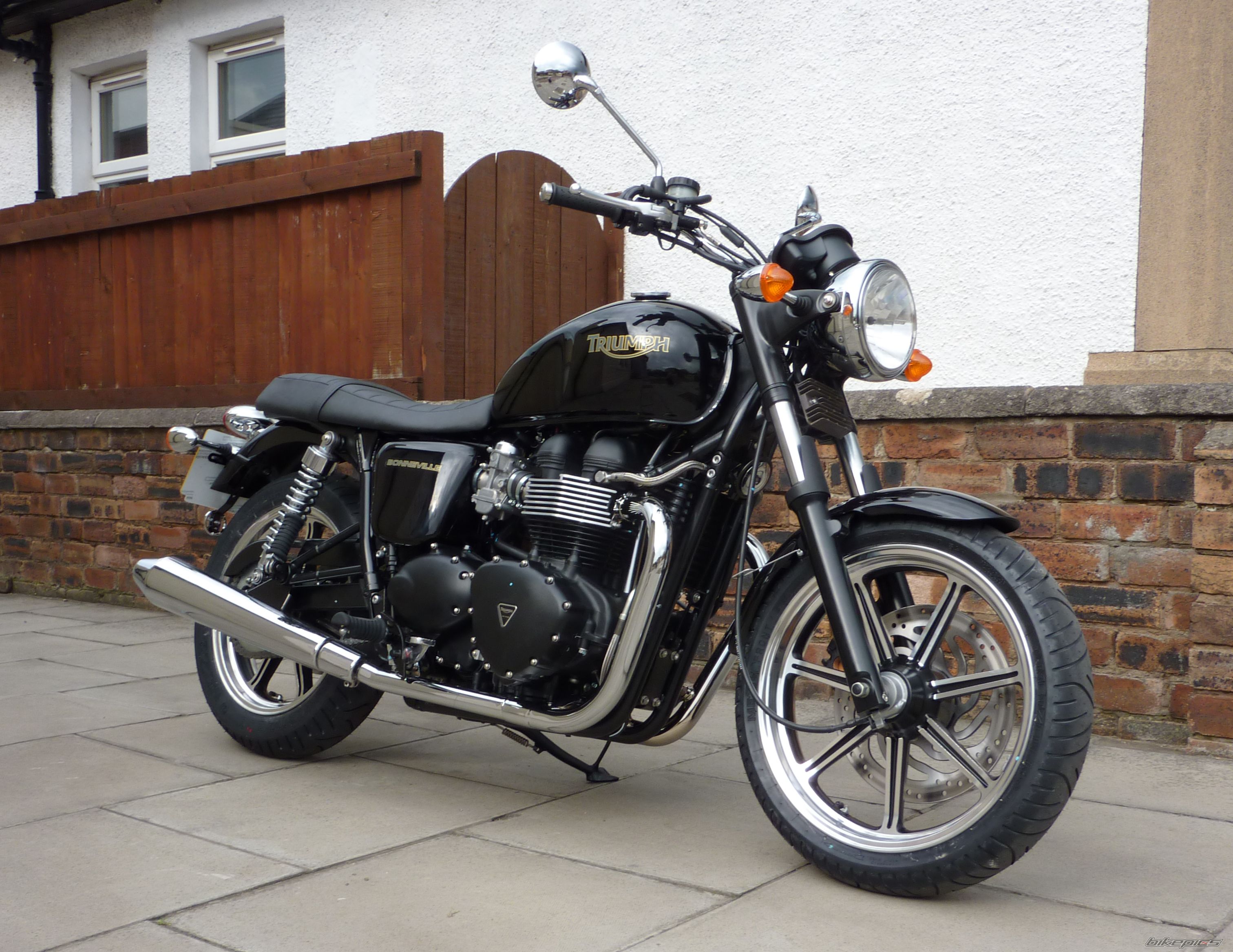 2009 TRIUMPH BONNEVILLE | Picture 1748015 motorcycle photo