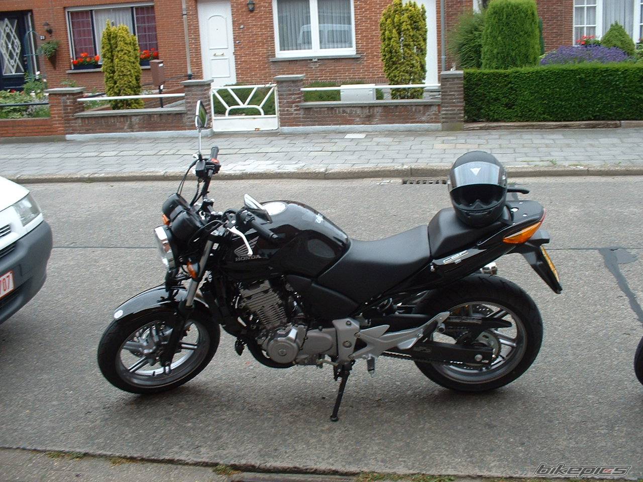 2004 HONDA CBF 500 | Picture 174847 motorcycle photo