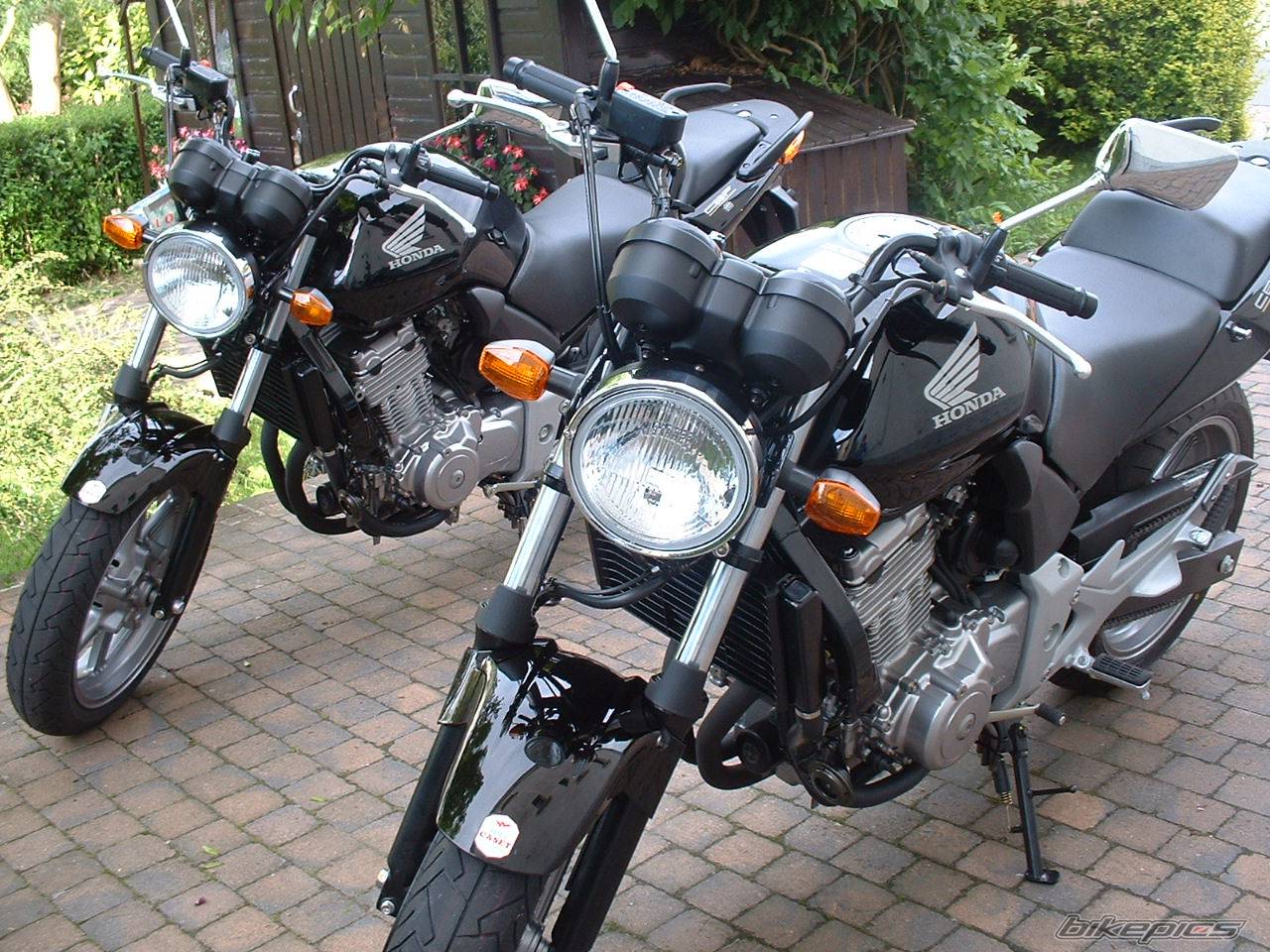 2004 HONDA CBF 500 | Picture 174848 motorcycle photo