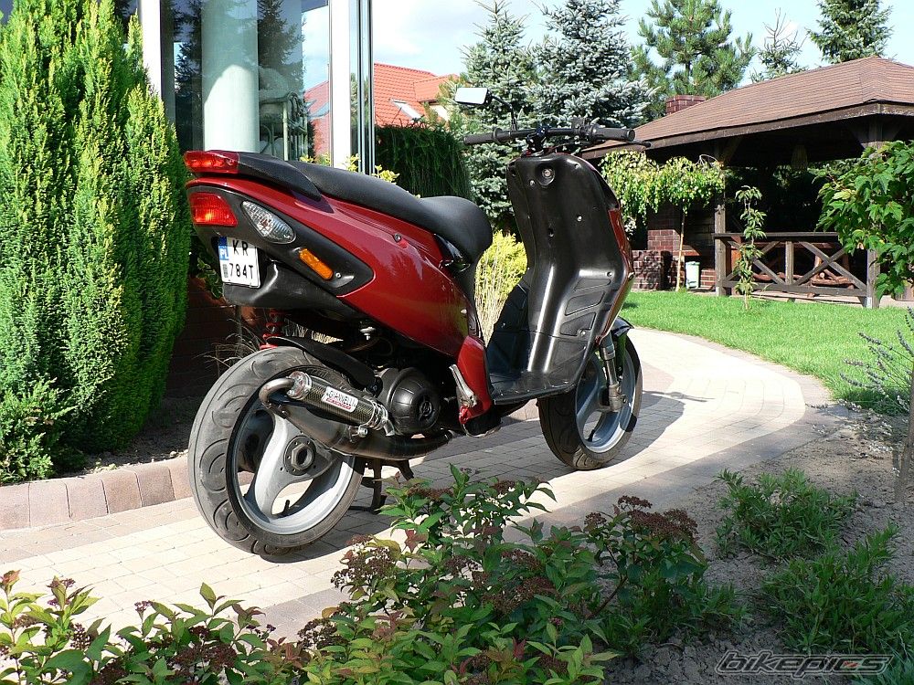 2004 PIAGGIO NRG | Picture 1748851 motorcycle photo