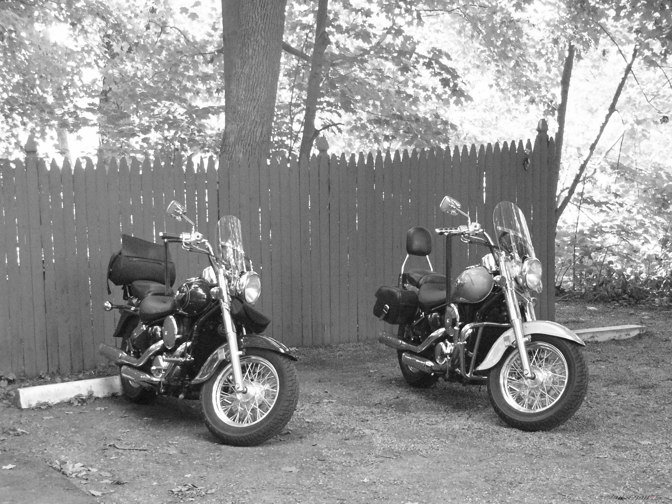 2001 KAWASAKI VULCAN 800 | Picture 1749739 motorcycle photo
