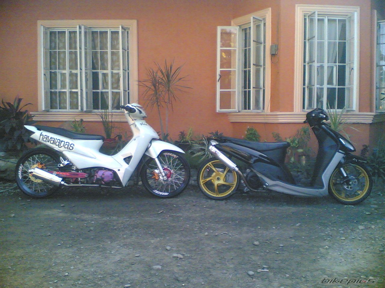 2009 HONDA WAVE 100 | Picture 1750234 motorcycle photo