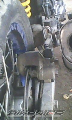    | Picture 1750293 motorcycle photo
