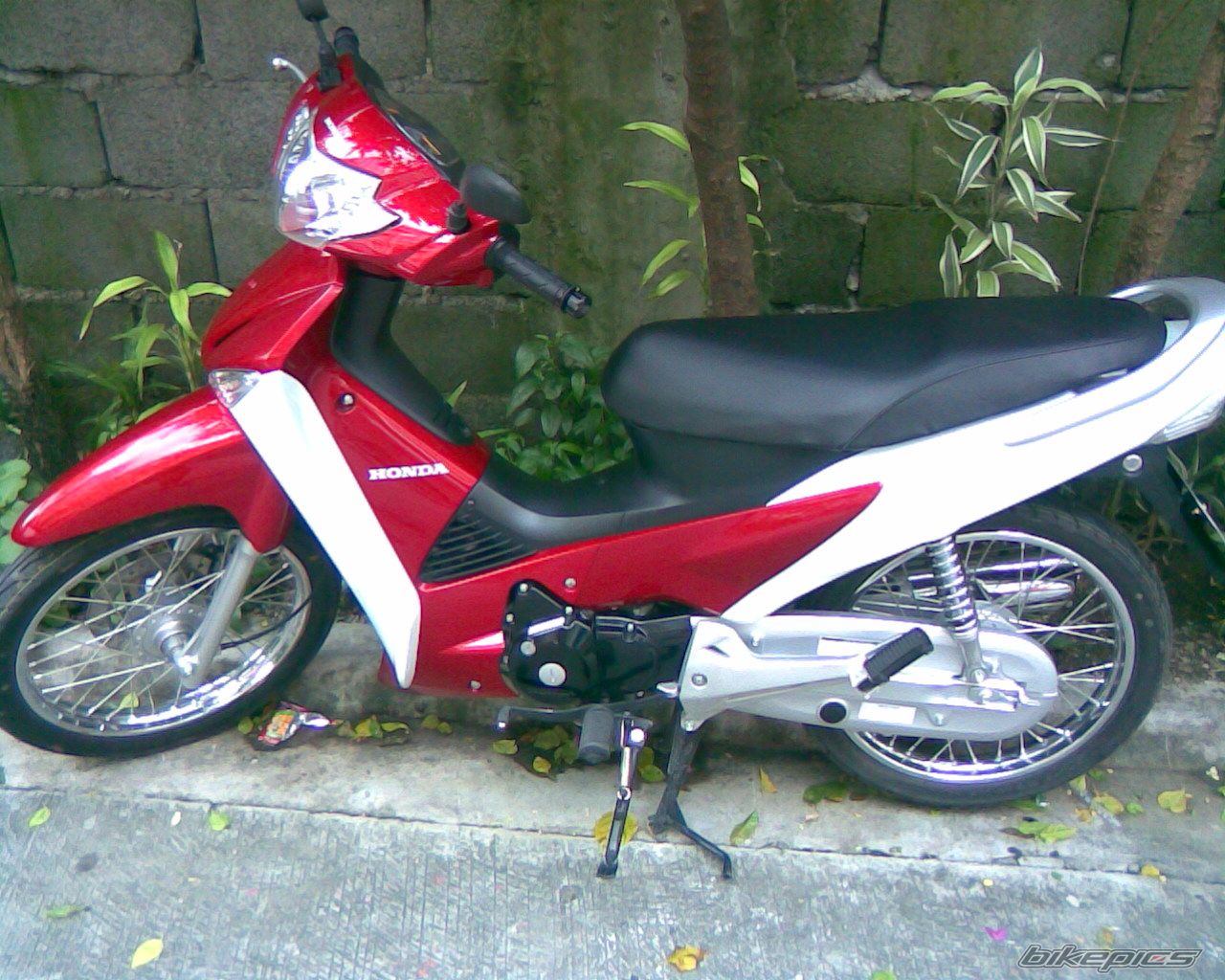 2009 HONDA WAVE 125 | Picture 1750407 motorcycle photo