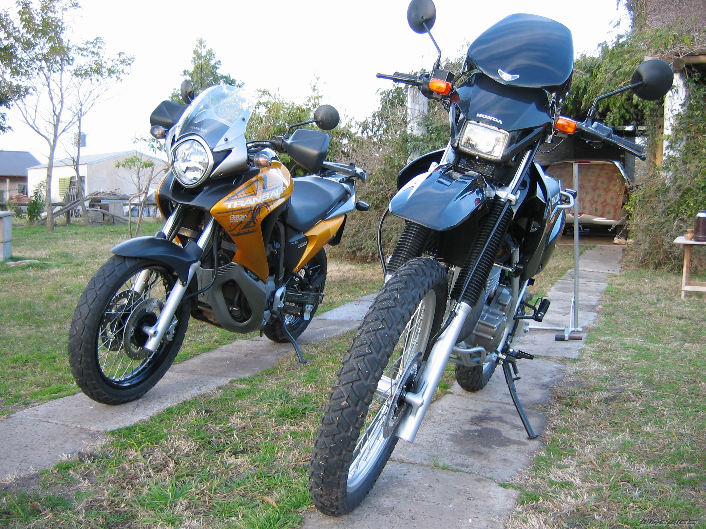 2009 HONDA XR 250 | Picture 1750505 motorcycle photo