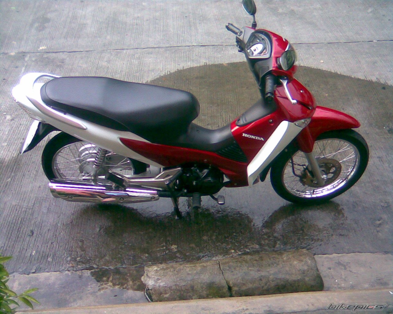 2009 HONDA WAVE 125 | Picture 1750508 motorcycle photo