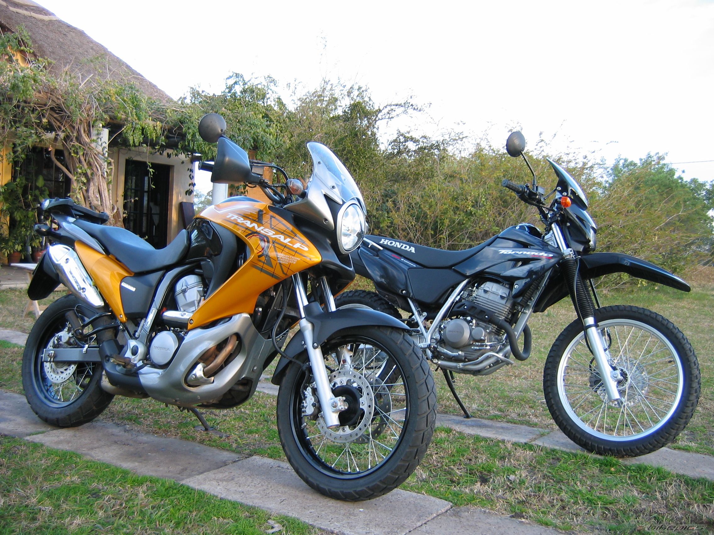2008 HONDA XL 650V TRANSALP | Picture 1750515 motorcycle photo