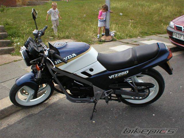 1988 HONDA VTZ 250 | Picture 175099 motorcycle photo