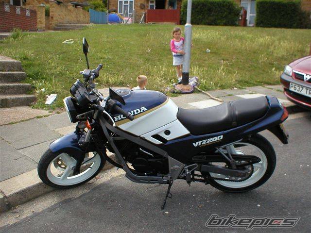 1988 HONDA VTZ 250 | Picture 175102 motorcycle photo