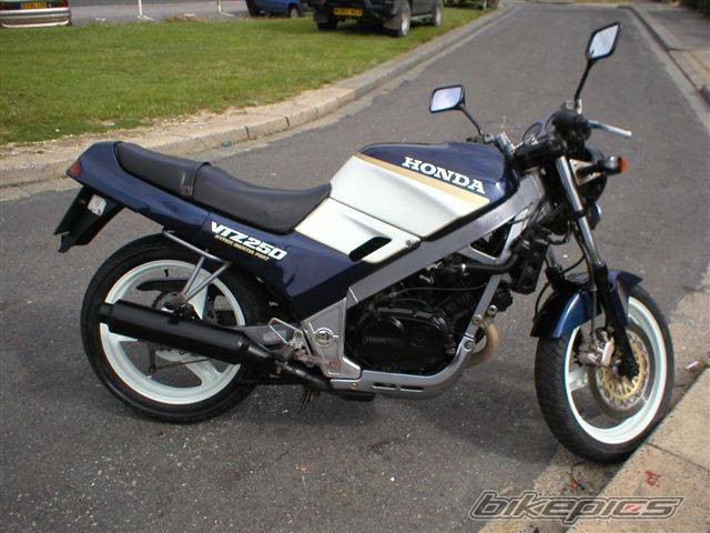 1988 HONDA VTZ 250 | Picture 175104 motorcycle photo