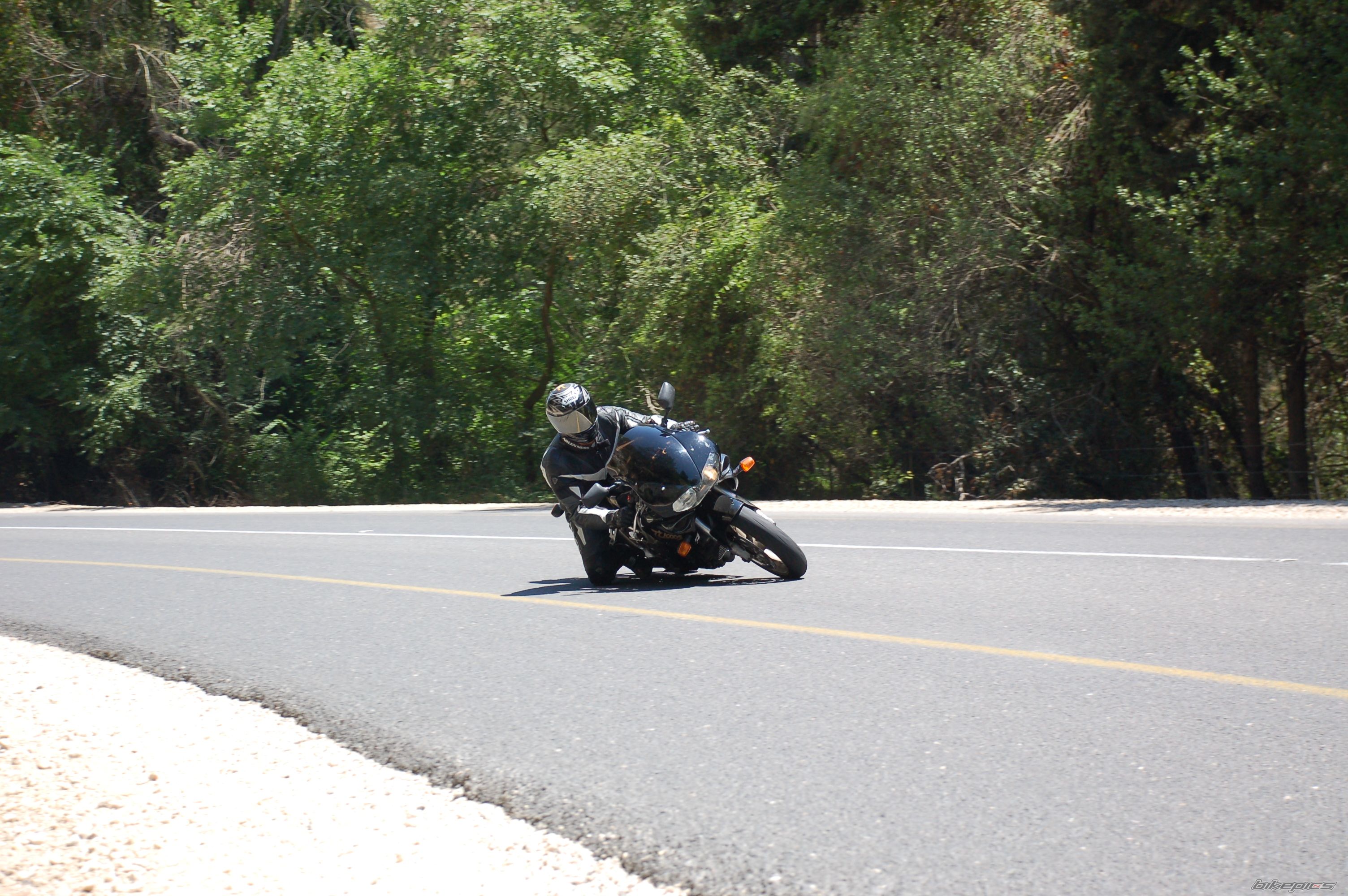 1997 SUZUKI TL1000S | Picture 1752481 motorcycle photo