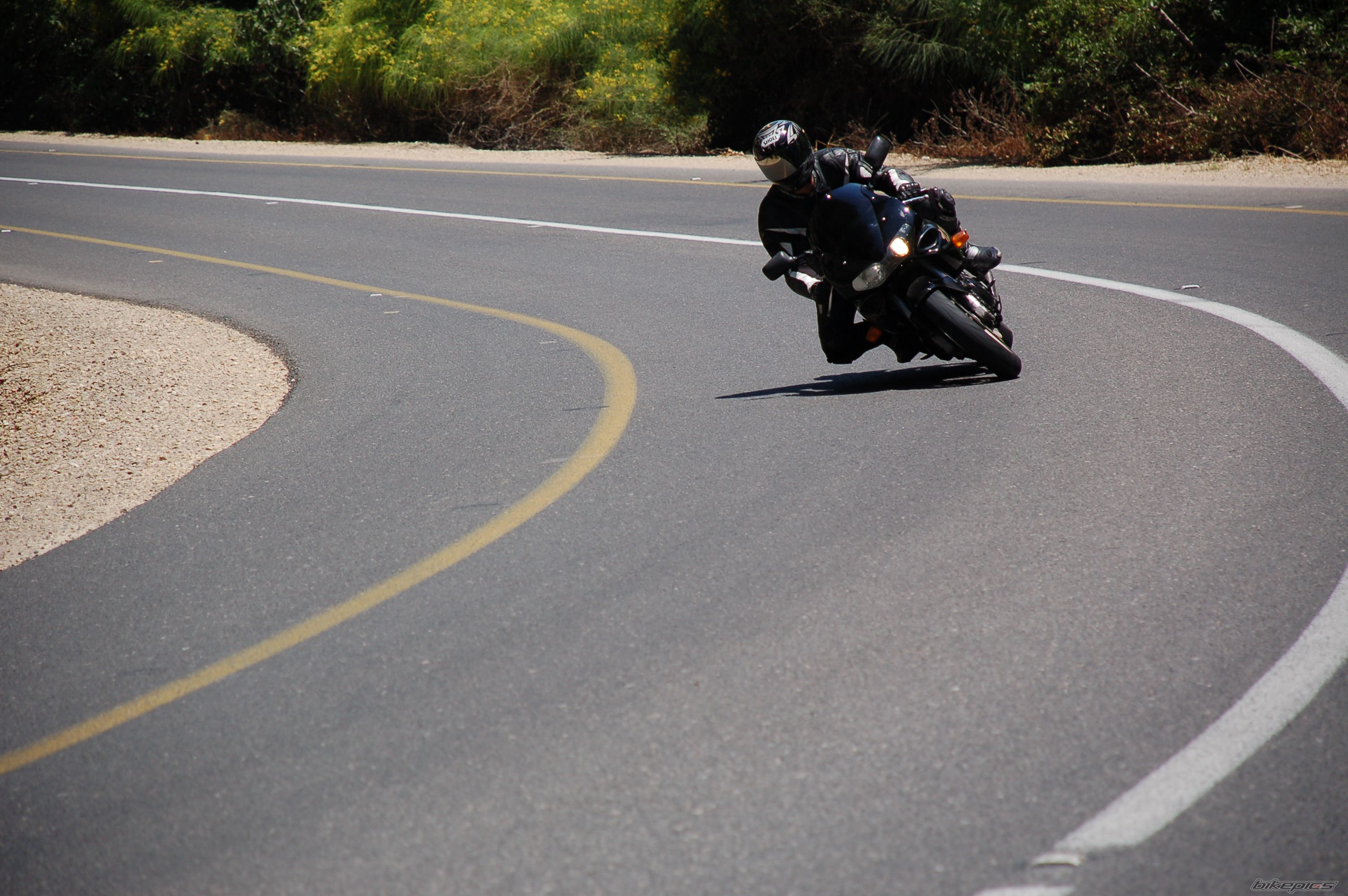 1997 SUZUKI TL1000S | Picture 1752895 motorcycle photo