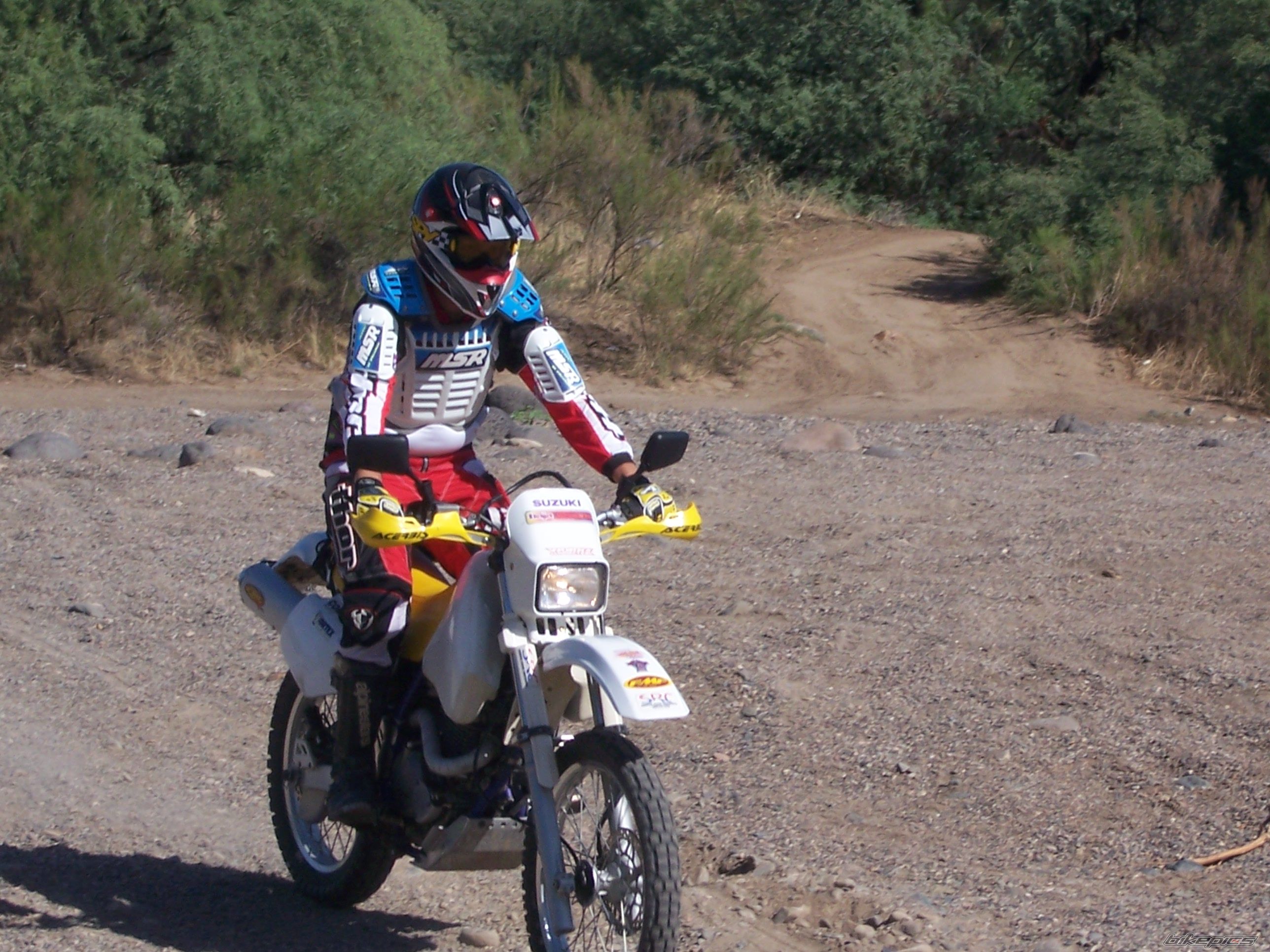 1997 SUZUKI DR 350 | Picture 1752989 motorcycle photo