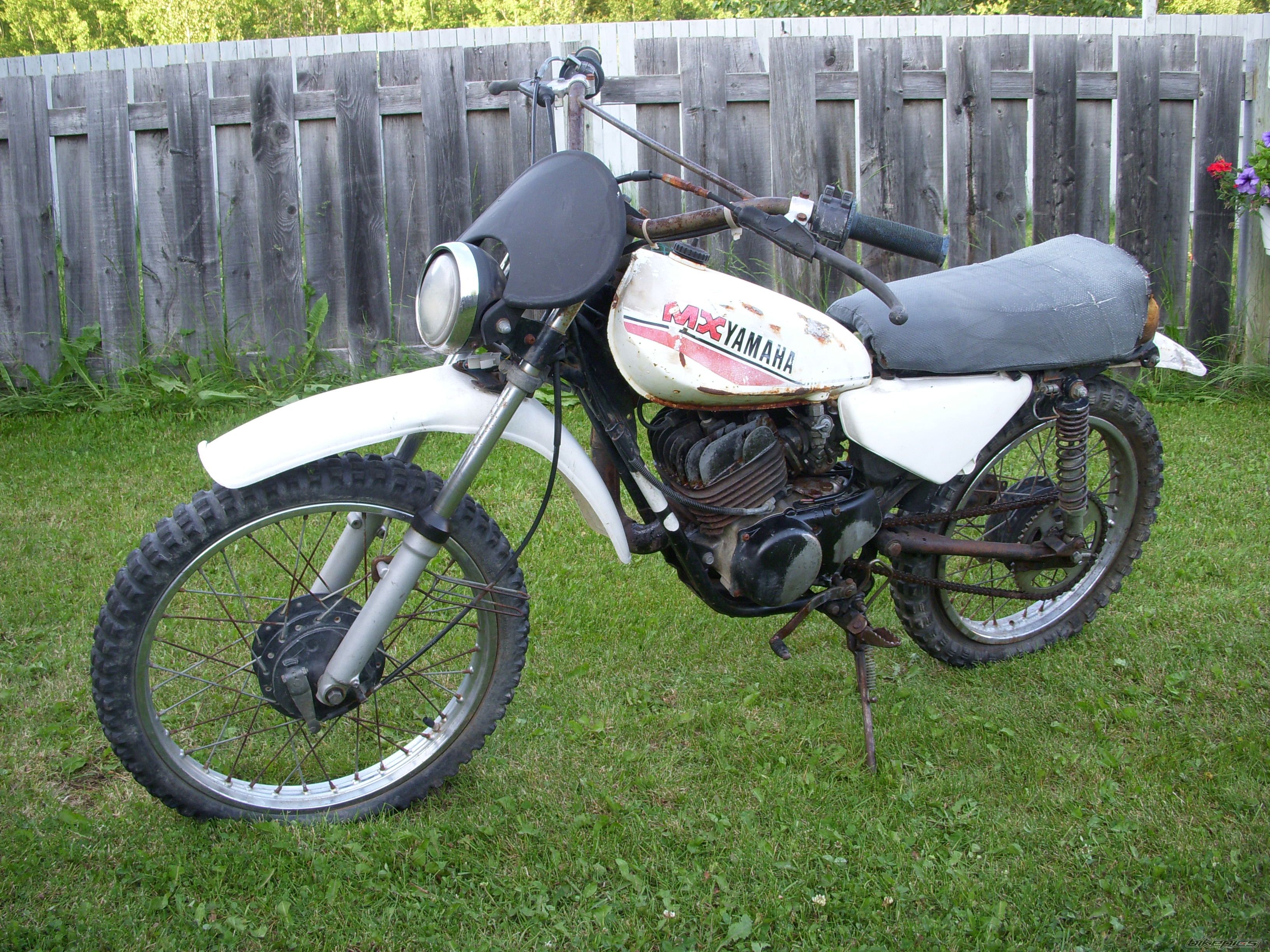 1981 YAMAHA MX 100 | Picture 1753045 motorcycle photo