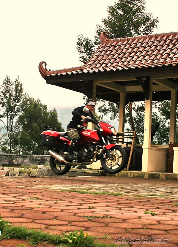 2008 BAJAJ PULSAR 200 | Picture 1753184 motorcycle photo