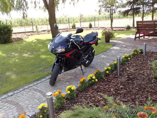 2009 YAMAHA TZR 50 | Picture 1753199 motorcycle photo