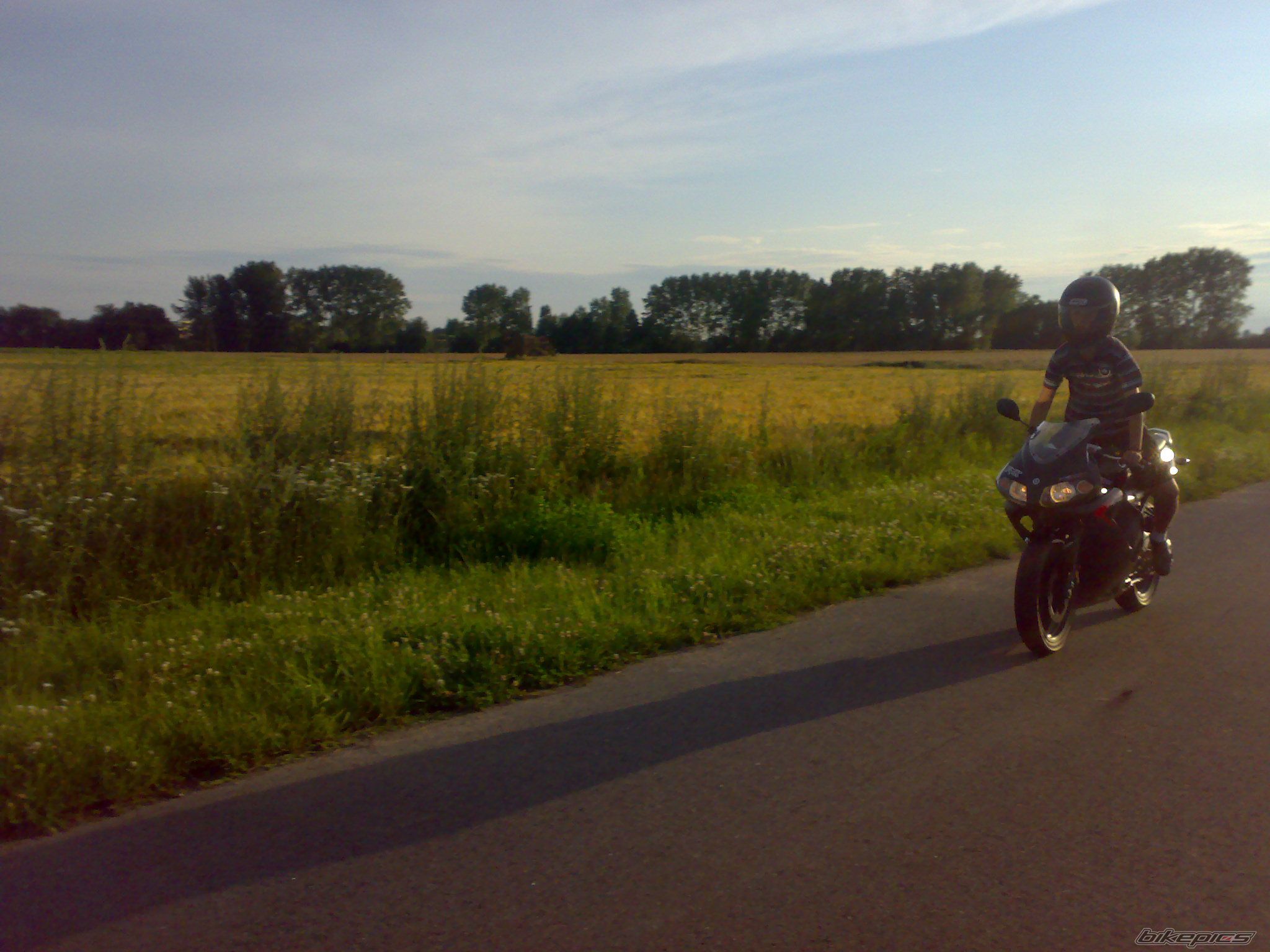 2009 YAMAHA TZR 50 | Picture 1753202 motorcycle photo