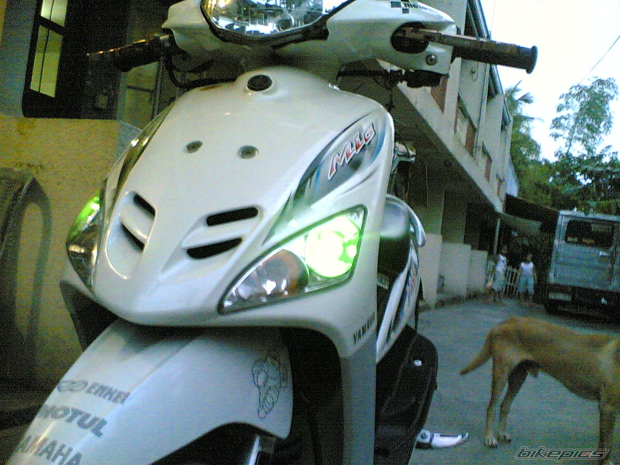 1966 YAMAHA MIO | Picture 1754164 motorcycle photo