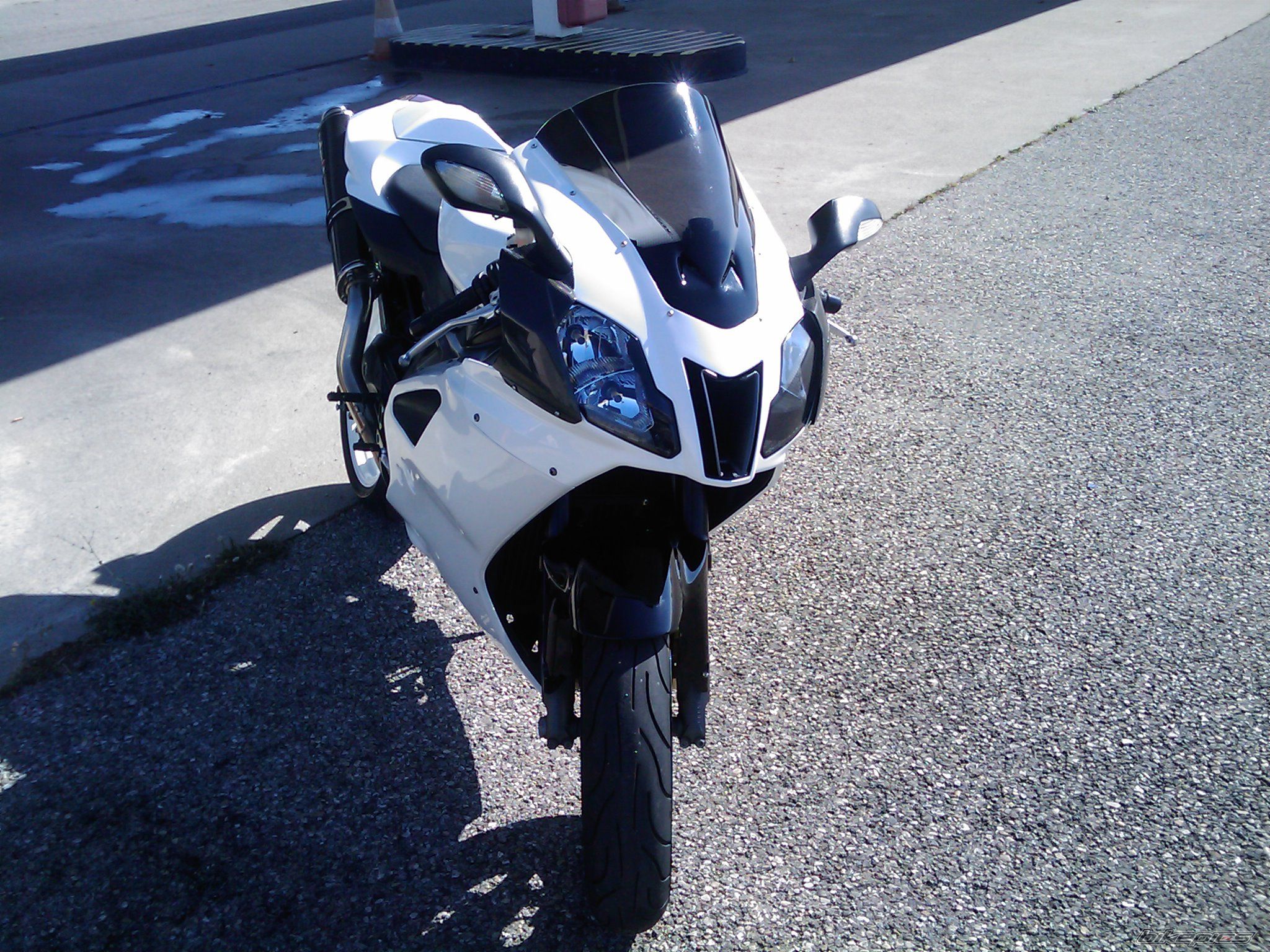 2009 APRILIA RSV 1000R MILLE | Picture 1755095 motorcycle photo