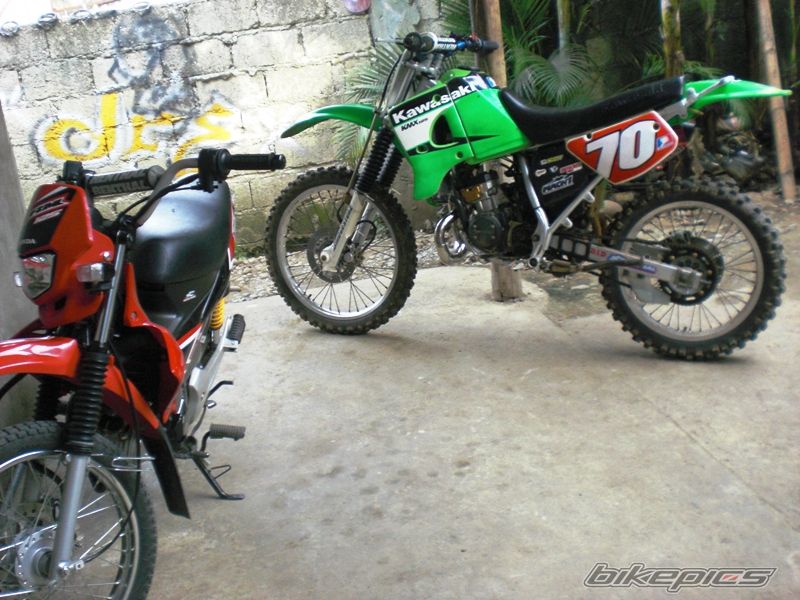 2010 KAWASAKI KMX 125 | Picture 1755390 motorcycle photo