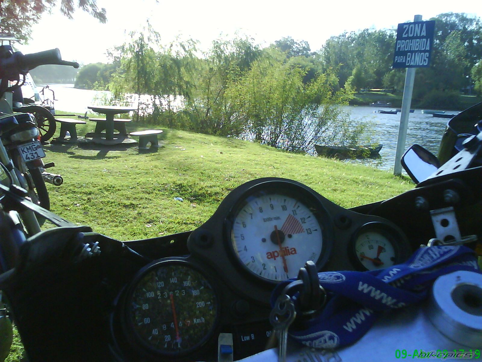 1993 APRILIA AF1 SPORT PRO 125 | Picture 1755835 motorcycle photo