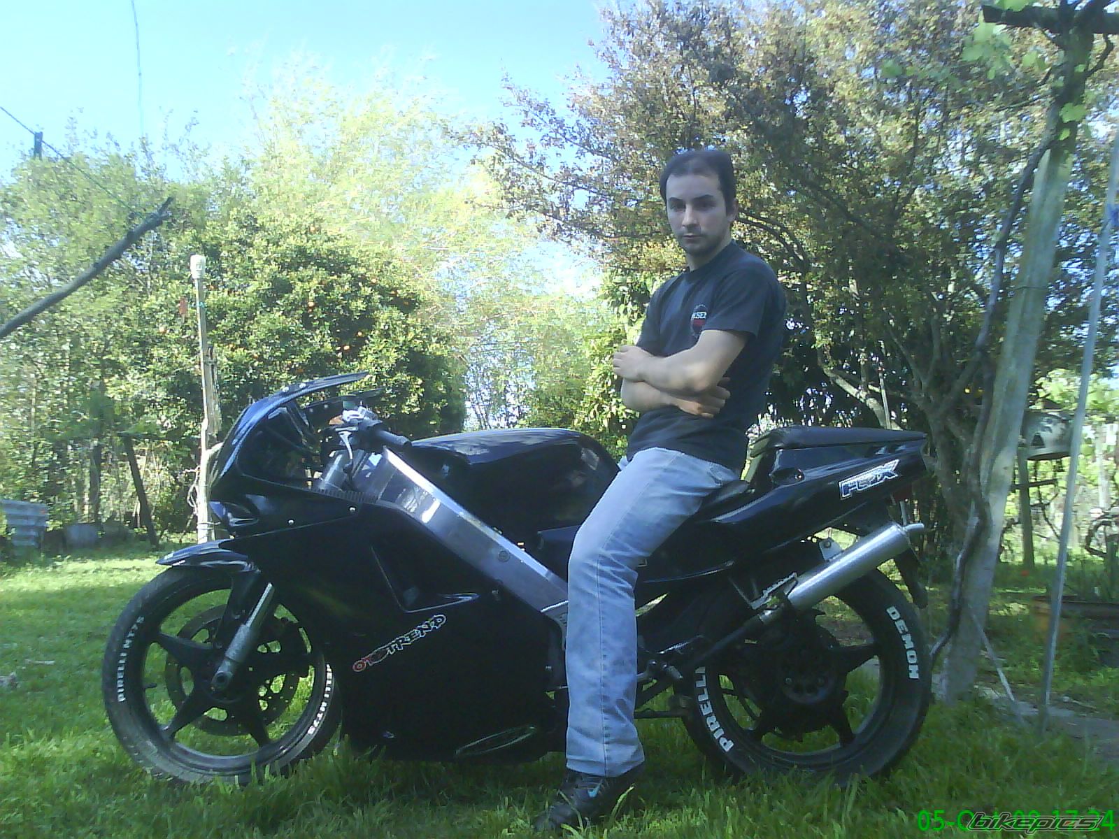 1993 APRILIA AF1 SPORT PRO 125 | Picture 1755837 motorcycle photo