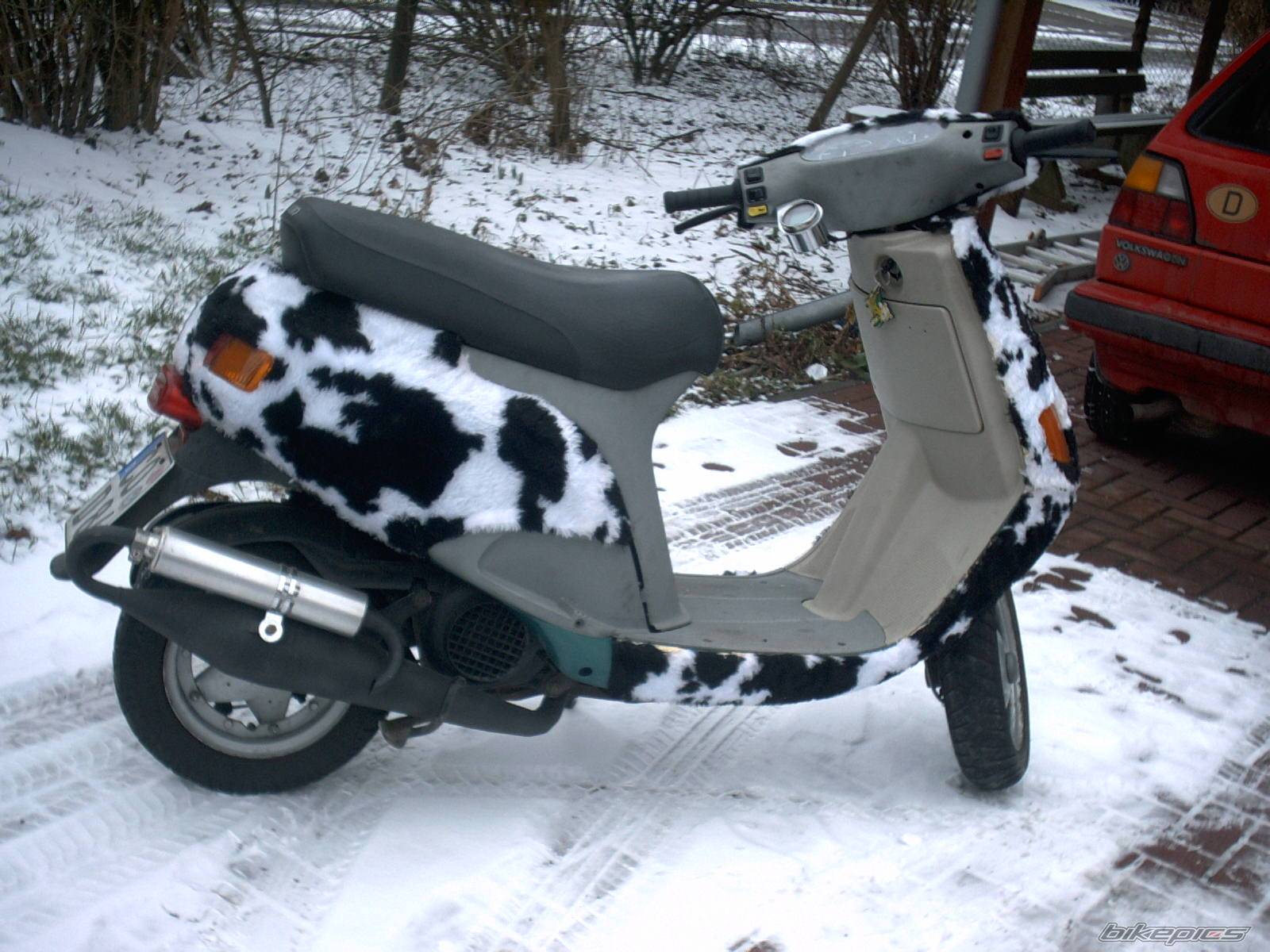 1994 PIAGGIO SKIPPER 125 | Picture 175589 motorcycle photo