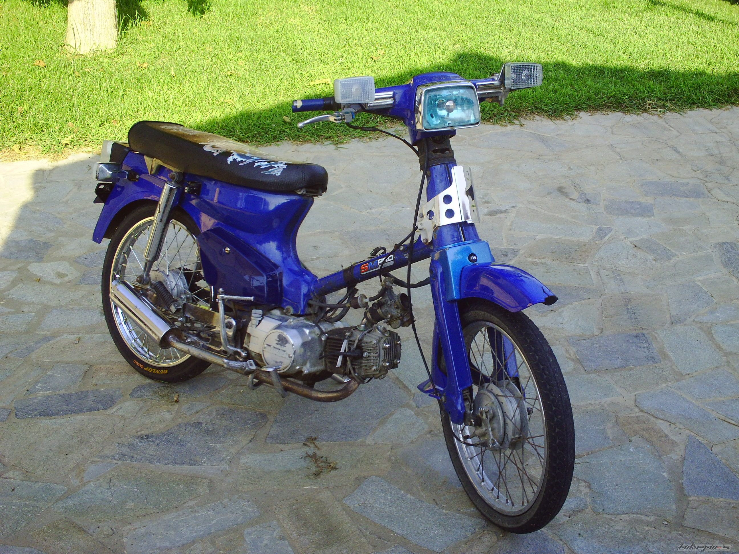 2009 HONDA GLX 50 | Picture 1755931 motorcycle photo