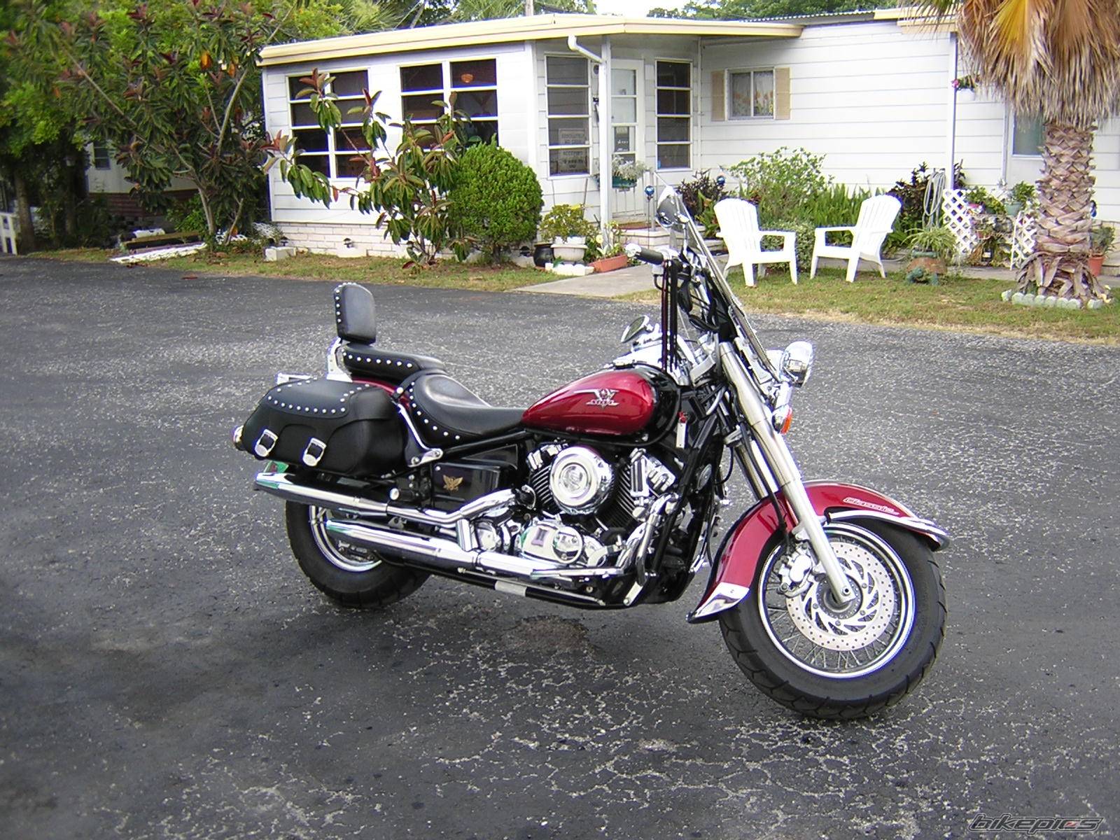 2004 YAMAHA V STAR | Picture 175623 motorcycle photo