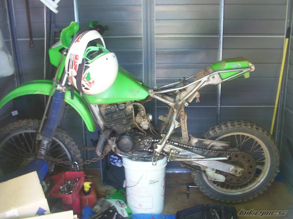 1987 KAWASAKI KDX 200 | Picture 175640 motorcycle photo